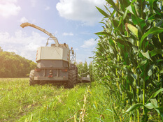 Agroindústria